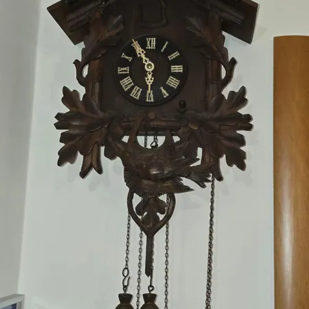 Dimora Alpina Dolomiti Cadore *